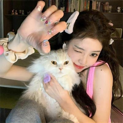 猎鹰的兄弟
